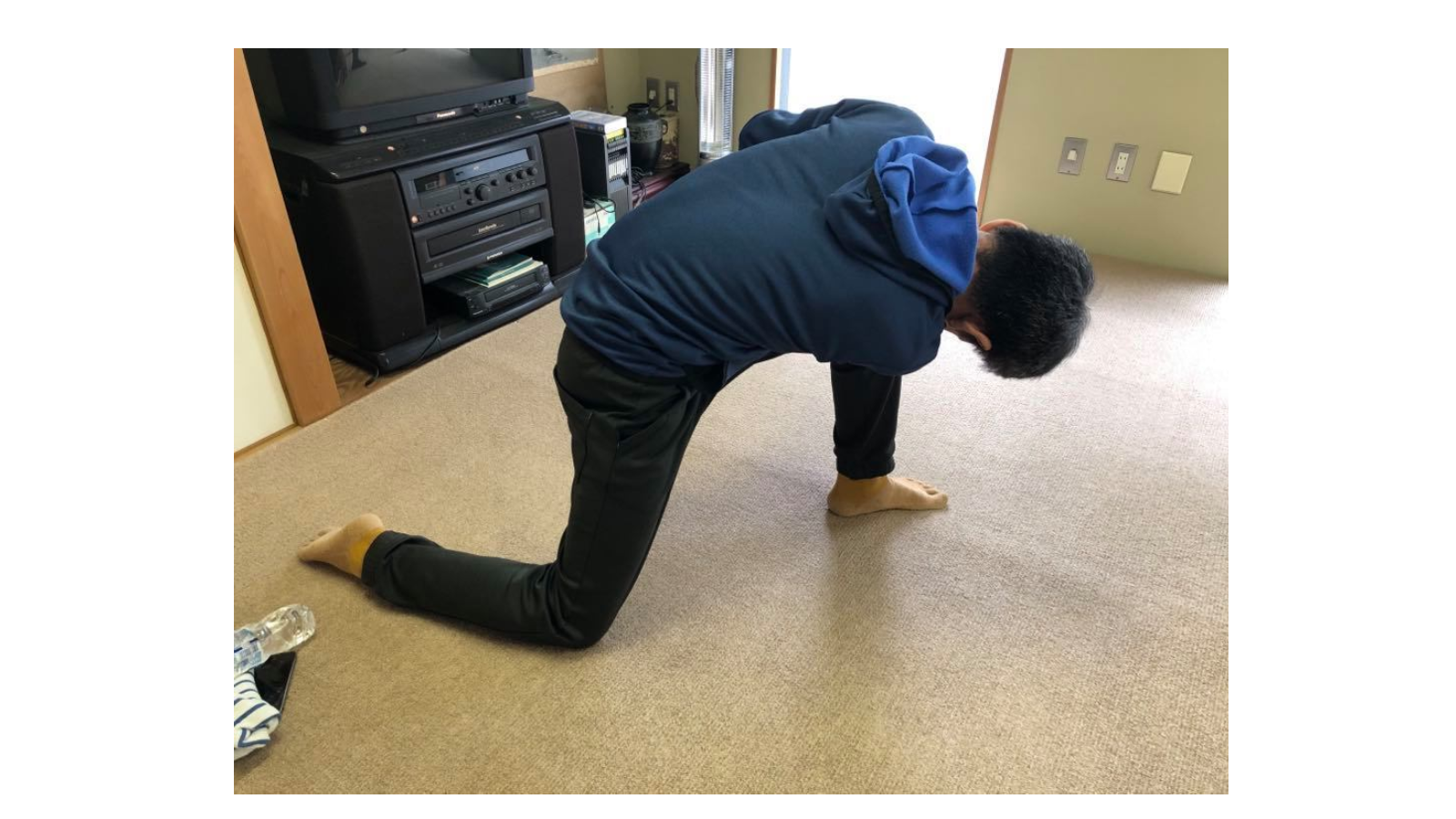 中植